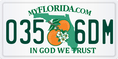 FL license plate 0356DM
