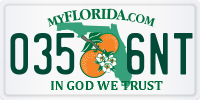 FL license plate 0356NT