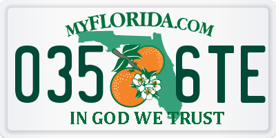 FL license plate 0356TE