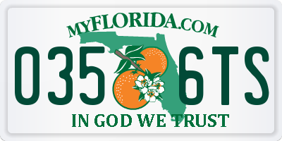 FL license plate 0356TS