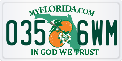 FL license plate 0356WM