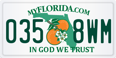 FL license plate 0358WM