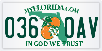 FL license plate 0360AV