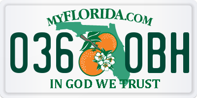 FL license plate 0360BH