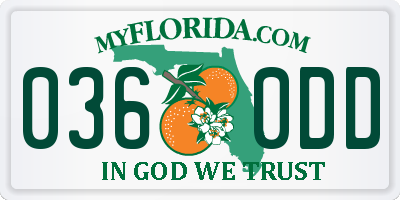 FL license plate 0360DD