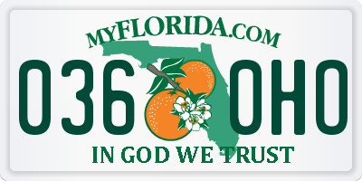 FL license plate 0360HO