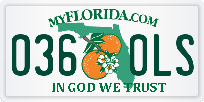 FL license plate 0360LS