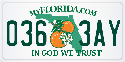 FL license plate 0363AY
