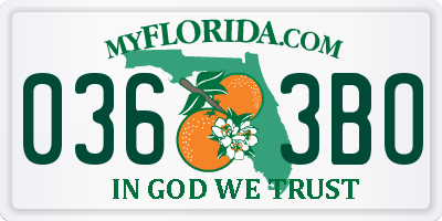 FL license plate 0363BO