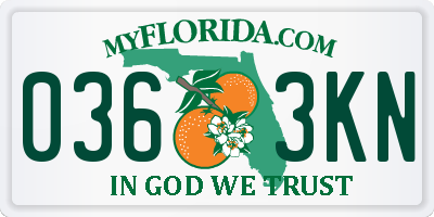 FL license plate 0363KN