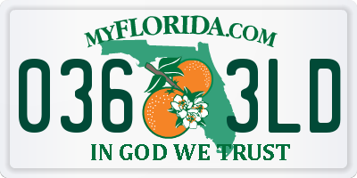 FL license plate 0363LD