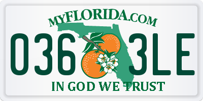FL license plate 0363LE