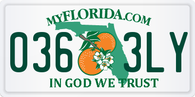 FL license plate 0363LY