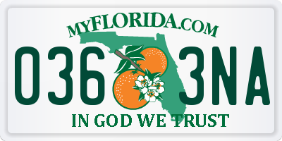 FL license plate 0363NA