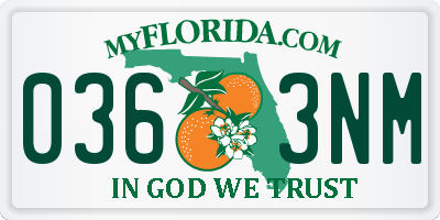 FL license plate 0363NM