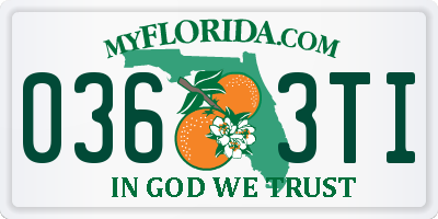 FL license plate 0363TI
