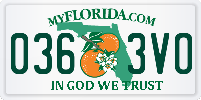 FL license plate 0363VO