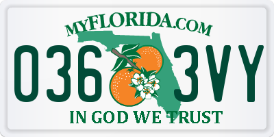 FL license plate 0363VY