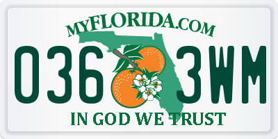 FL license plate 0363WM
