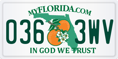 FL license plate 0363WV