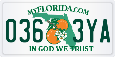 FL license plate 0363YA