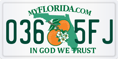 FL license plate 0365FJ