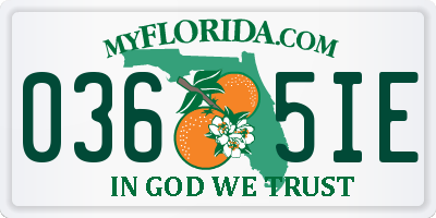 FL license plate 0365IE