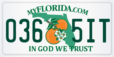 FL license plate 0365IT