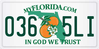 FL license plate 0365LI