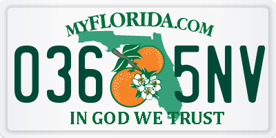 FL license plate 0365NV