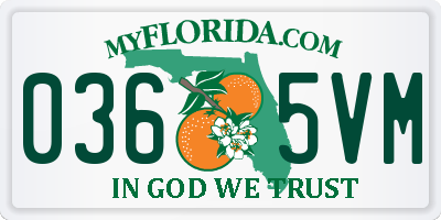 FL license plate 0365VM