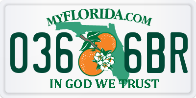 FL license plate 0366BR
