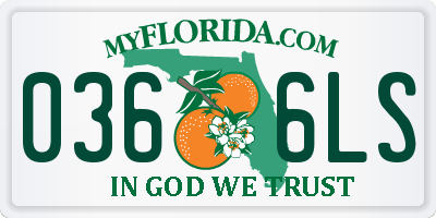 FL license plate 0366LS