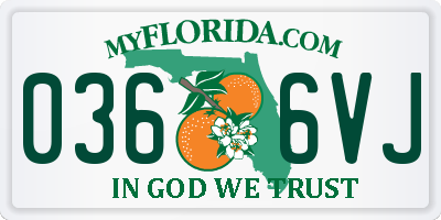 FL license plate 0366VJ