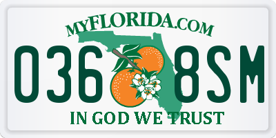 FL license plate 0368SM
