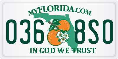 FL license plate 0368SO