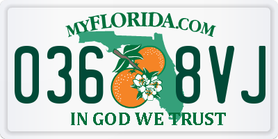 FL license plate 0368VJ