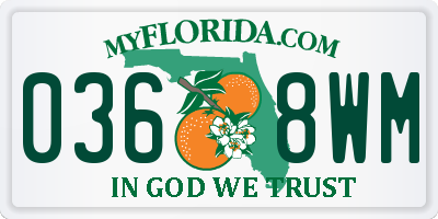 FL license plate 0368WM