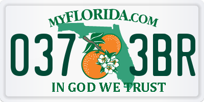 FL license plate 0373BR