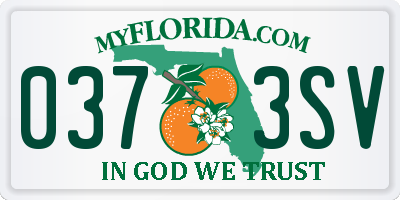 FL license plate 0373SV