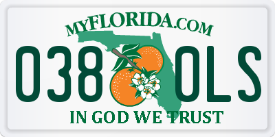 FL license plate 0380LS