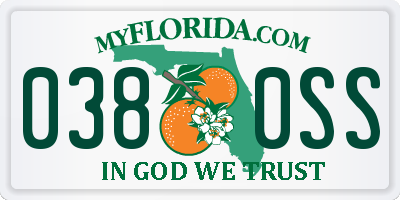 FL license plate 0380SS