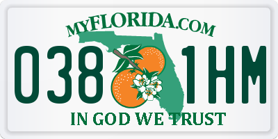 FL license plate 0381HM