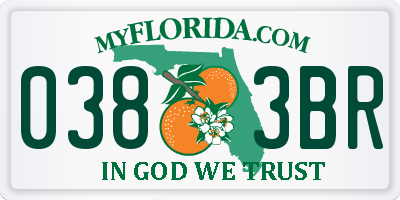 FL license plate 0383BR