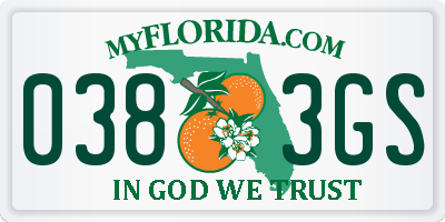 FL license plate 0383GS