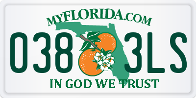FL license plate 0383LS