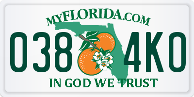 FL license plate 0384KO