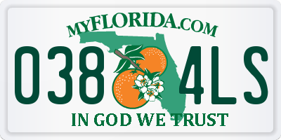 FL license plate 0384LS