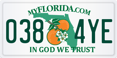 FL license plate 0384YE