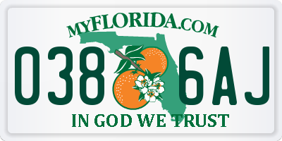 FL license plate 0386AJ